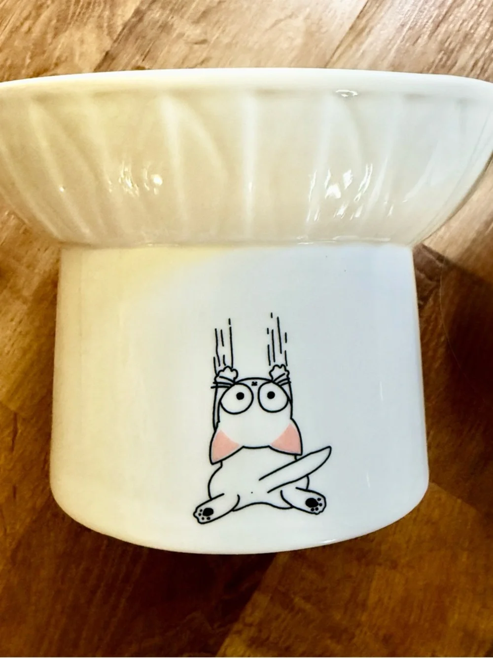 White Ceramic Pet Food Bowl with Fish Bone Design